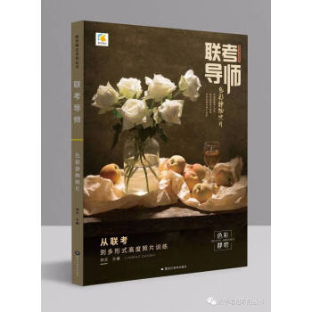 2018教学笔记联考导师色彩静物照片钟文色彩静物照片临摹范画组合色彩静物照片图酷素品演绎