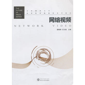 网络视频 pdf epub mobi 电子书 下载