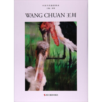 王川/中國當代攝影圖錄9787551418737 浙江攝影齣版社 劉錚 pdf epub mobi 電子書 下載