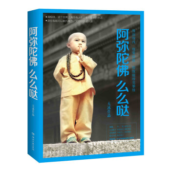 阿弥陀佛么么哒 大冰续乖摸摸头后新书 12个不舍得读完的暖心故事青春励志小说 pdf epub mobi 电子书 下载