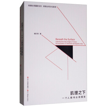 正版書籍 肌理之下:一個人探尋颱灣攝影:exploring the inner image pdf epub mobi 電子書 下載