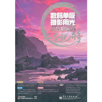 VIP数码单反摄影用光与后期编修，一本就够(全彩)(含DVD光盘1张) 黑冰摄影著 978 pdf epub mobi 电子书 下载