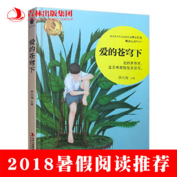 2018暑假读物爱的苍穹下 李兴海 著 吉林书店 sjsj pdf epub mobi 电子书 下载