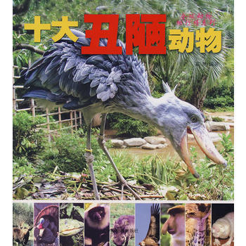 十大醜陋動物 9787802341487 中國發展齣版社 pdf epub mobi 電子書 下載