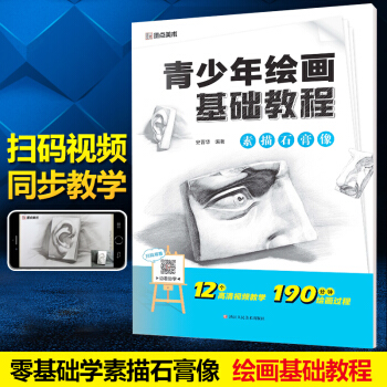 青少年绘画基础教程素描石膏像 素描书入门自学零基础墨点美术 素描画像素描基础教程同步视频教学名家讲解 pdf epub mobi 电子书 下载