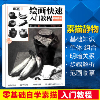 绘画快速入门教程素描静物零基础学素描 铅笔素描基础教程 素描书入门自学零基础 静物素描静物临摹 联考
