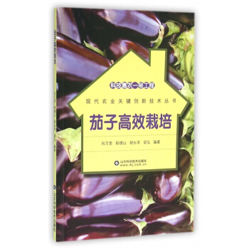 茄子高效栽培/现代农业关键创新技术丛书 pdf epub mobi 电子书 下载