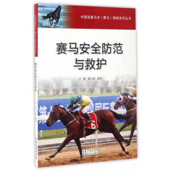 赛马安全防范与救护 王锋,夏云建 9787216089692 pdf epub mobi 电子书 下载