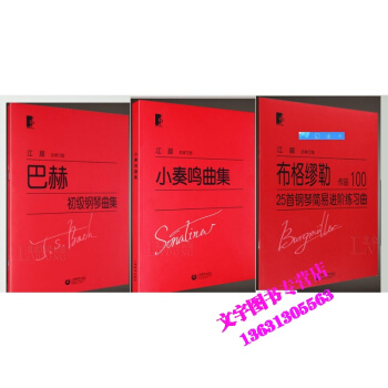 江晨 大字版巴赫初级钢琴曲集+布格缪勒25首钢琴简易进阶练习曲+小奏鸣曲集 pdf epub mobi 电子书 下载