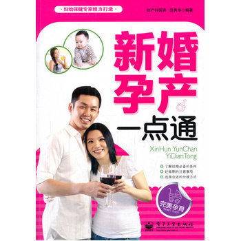 VIP新婚孕产一点通 范秀华著 9787121170003 pdf epub mobi 电子书 下载