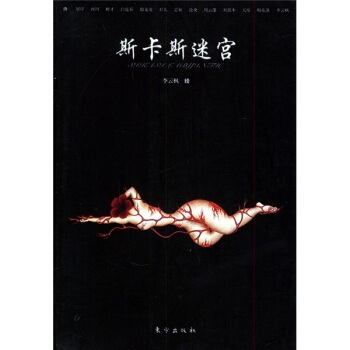 斯卡斯迷宫 殷龙龙 等；李云枫 绘 9787506021319 pdf epub mobi 电子书 下载