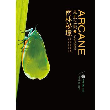 昆蟲之美2：雨林秘境 李元勝 pdf epub mobi 電子書 下載