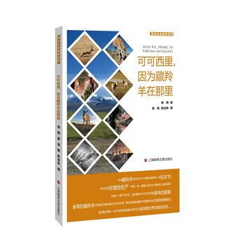 可可西裏，因為藏羚羊在那裏 楊剛 楊剛 陳業偉 攝 pdf epub mobi 電子書 下載