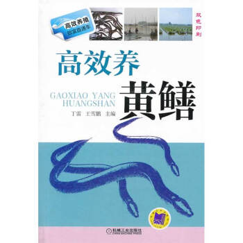 高效养黄鳝 pdf epub mobi 电子书 下载