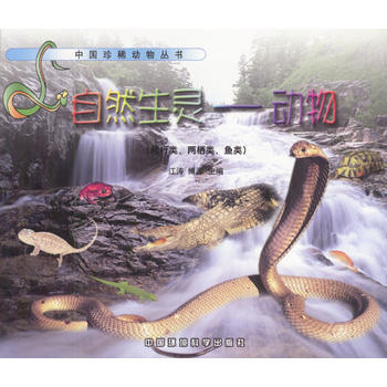 自然生灵——动物(爬行类、两栖类、鱼类) pdf epub mobi 电子书 下载