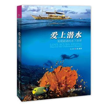 愛上潛水 pdf epub mobi 電子書 下載