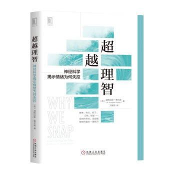 超越理智：神经科学揭示情绪为何失控 神经病学 超越理智 心理学读物 情绪管理图书籍 pdf epub mobi 电子书 下载