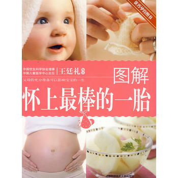 图解怀上棒的一胎 pdf epub mobi 电子书 下载