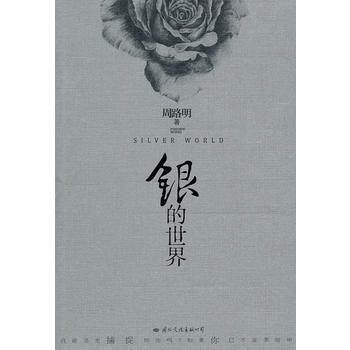 銀的世界 pdf epub mobi 電子書 下載