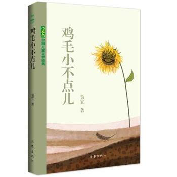 鸡毛小不点儿 贺宜 pdf epub mobi 电子书 下载