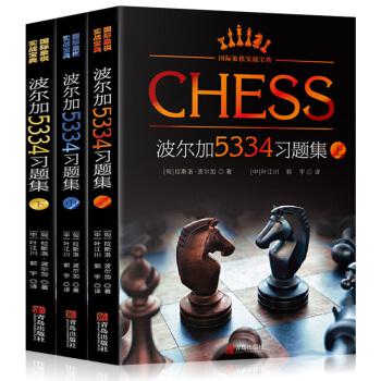波尔加5334习题集 套装3册 人人都可以看懂的国际象棋实战宝典书籍 国际象棋入门教程 将杀杀王攻击 pdf epub mobi 电子书 下载