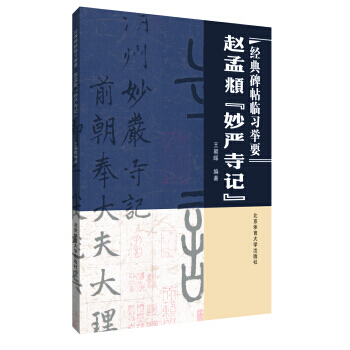 赵孟頫妙严寺记-经典碑帖临习举要 pdf epub mobi 电子书 下载