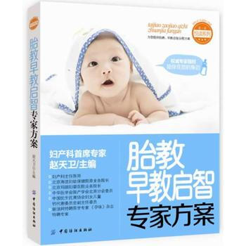胎教早教启智专家方案 pdf epub mobi 电子书 下载