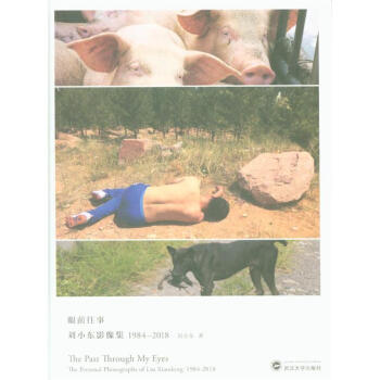 眼前往事-刘小东影像集1984-2018 pdf epub mobi 电子书 下载