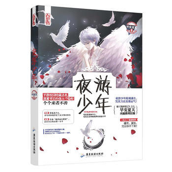 夜游少年 9787557001599 广东旅游出版社 pdf epub mobi 电子书 下载