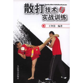 散打技术与实战训练 pdf epub mobi 电子书 下载
