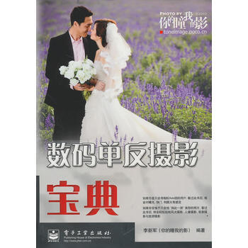 数码单反摄影宝典(全彩) 李新军著 9787121120442 pdf epub mobi 电子书 下载