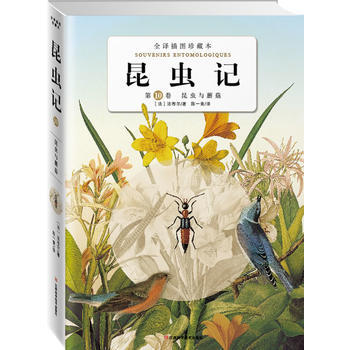 昆虫记：第十卷昆虫与蘑菇 (法)法布尔,陈一青 9787539038636 pdf epub mobi 电子书 下载