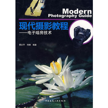 現代攝影教程--電子暗房技術 薛以平,劉峰 9787112101467 pdf epub mobi 電子書 下載