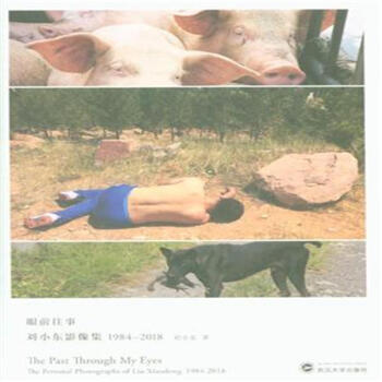眼前往事-劉小東影像集1984-2018 pdf epub mobi 電子書 下載