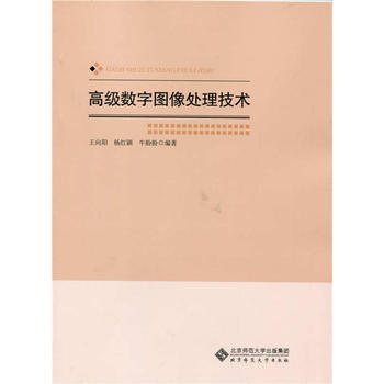 高级数字图像处理技术 王向阳 9787303174928 pdf epub mobi 电子书 下载