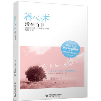慢品生活：养心术 活在当下 以利沙·戈德斯坦,杜敏 9787303150069 pdf epub mobi 电子书 下载