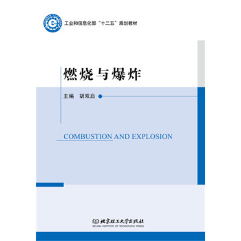 燃燒與爆炸 鬍雙啓 9787568205535 pdf epub mobi 電子書 下載