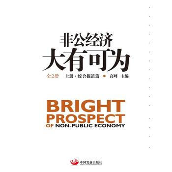 非公经济大有可为-(上.下册) pdf epub mobi 电子书 下载