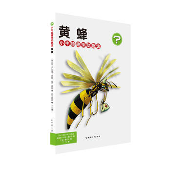 黄蜂-小牛顿趣味动物馆 pdf epub mobi 电子书 下载