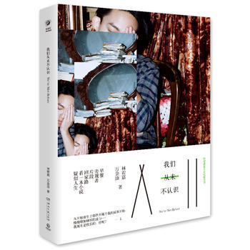 我們從未不認識：林宥嘉音樂小說概念書(迷幻王子林宥嘉首部文字作品) pdf epub mobi 電子書 下載