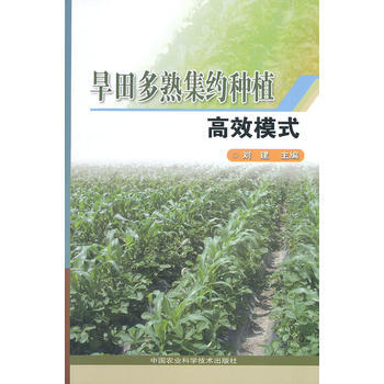 RTDK 旱田多熟集约种植高效模式 9787511614926 中国农业科学技术出版社 pdf epub mobi 电子书 下载