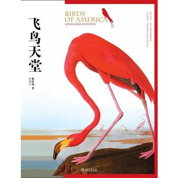 飞鸟天堂 9787301181935 pdf epub mobi 电子书 下载