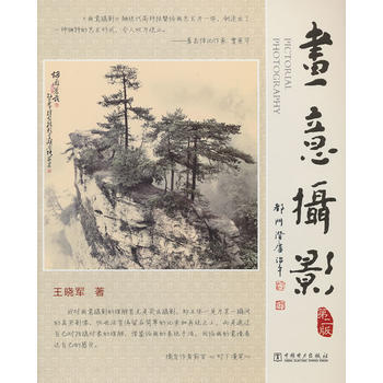 畫意攝影(第二版)(含1CD) - 王曉軍 9787512337855 pdf epub mobi 電子書 下載