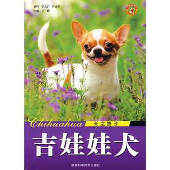 吉娃娃犬 天之轎子 pdf epub mobi 電子書 下載