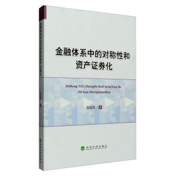 金融体系中的对称性和资产证卷化 pdf epub mobi 电子书 下载