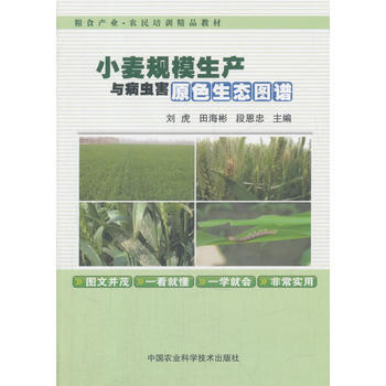 RTDK 小麥規模生産與病蟲害原色生態圖譜 9787511631503 中國農業科學技術齣 pdf epub mobi 電子書 下載