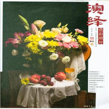 演繹色彩照片 pdf epub mobi 電子書 下載