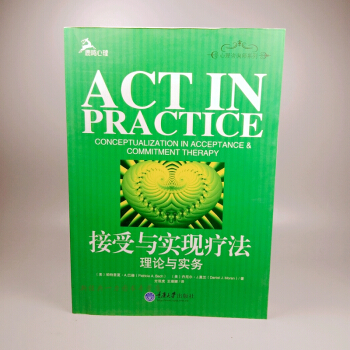 接受與實現療法 理論與實務 心理谘詢師係列之一 是一本ACT入門書籍 心理治療書籍 心理健康須知
