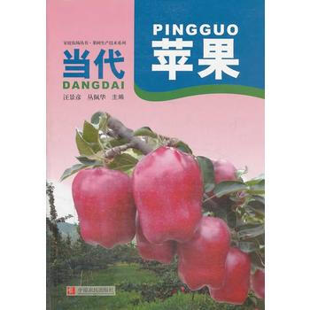 當代蘋果 pdf epub mobi 電子書 下載