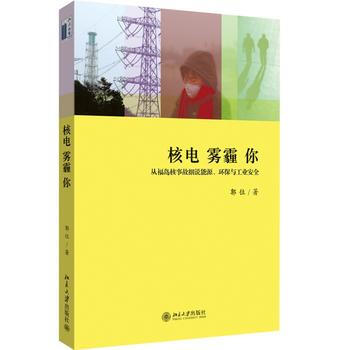 核电 雾霾 你——从福岛核事故细说能源、环保与工业安全 pdf epub mobi 电子书 下载